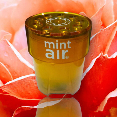 Mint Air ORANGE BLOSSOM Car Freshener Diffuser MORE JOY ORANGE BLOSSOM DIFFUSER(1 Units)