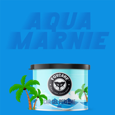 FOXCARE Aqua Marine Car Freshener Diffuser Car Air Freshener | Car Accessories(100 g)