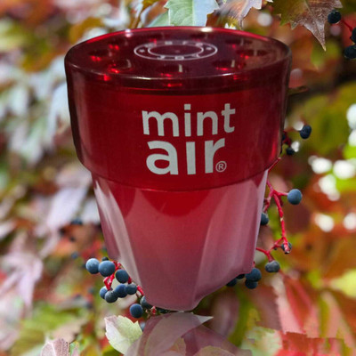 Mint Air BERRY Diffuser MORE JOY BERRY BLAST DIFFUSER(1 Units)