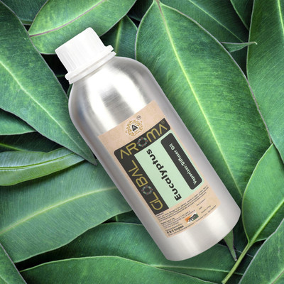GLOBAL AROMA EUCALYPTUS Aroma Oil, Diffuser EUCALYPTUS(250 ml)