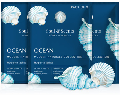 Soul & Scents Ocean Sachet Blocks Ocean Fragrance Sachet | A Blend of Sea Breeze, Melon & Driftwood | Long-Lasting Air Freshener for Car, Wardrobe, Kitchen, and Travel Bag | Pack of 3-20gm Each(3 x 20 g)