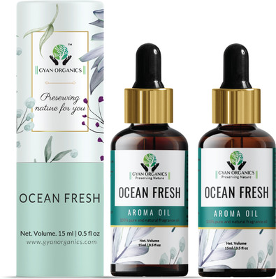 Gyan Organics OCEAN AROMA Car Freshener Aroma Oil, Diffuser, Spray, Refill OCEAN FRESH(2 x 15 ml)