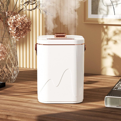 HANNEA Cool Mist Humidifier with 3 Modes Quiet Humidifier with LED Night Portable Room Air Purifier(White)