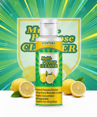 VisioneX All-in-One Multi-Purpose Cleaner | Powerful Surface & Floor Cleaning Liquid(100 ml)