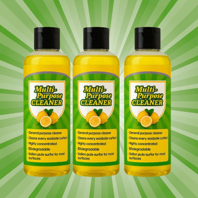 GoReady All-Purpose Cleaner Liquid | Fresh Fragrance | for Floors, Kitchen & Bathroom(300 ml)