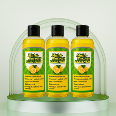GoReady Ultra Shine Multipurpose Cleaner | Fast Action Germ Killer, Safe on Surfaces(300 ml)