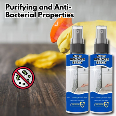 LootZoo Multi-Surface Mold Remover Spray – Safe for Home & Office Use(200 ml)