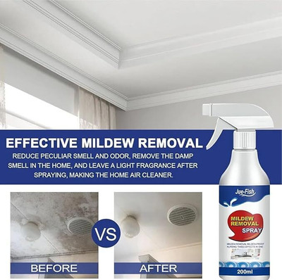 RS ENTERPRISE Multi-purpose/Mould Removal Cleaning Spray, Stubborn Wall Stains Remover Fresh(100 ml)