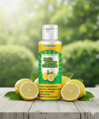 VisioneX Household Multi-Surface Cleaner | Disinfectant & Degreaser | Safe for Home(100 ml)