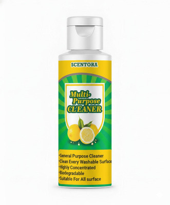 VisioneX All-in-One Multi-Purpose Cleaner | Powerful Surface & Floor Cleaning Solution(100 ml)