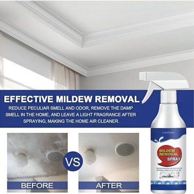 LootZoo Mold remover spray | prevent mold | Inner Wall Stain Remover