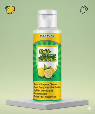 VisioneX All Purpose Cleaning Liquid |Tough on Dirt, Gentle on Surfaces(100 g)