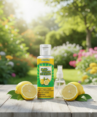 VisioneX Multi-Utility Cleaner | Deep Cleaning Formula for Floors, Tiles, Glass(100 g)