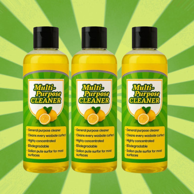 GoReady Antibacterial Multi-Surface Cleaner | Fast-Drying, Streak-Free Shine(300 ml)