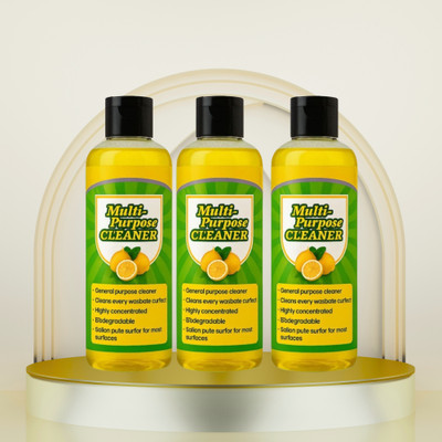 GoReady Nature Clean Surface Cleaner | Gentle Formula, Fresh Fragrance, Biodegradable(300 ml)