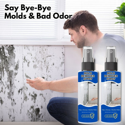 LootZoo Quick Mold & Mildew Spray – Removes Stubborn Stains from Walls(200 ml)