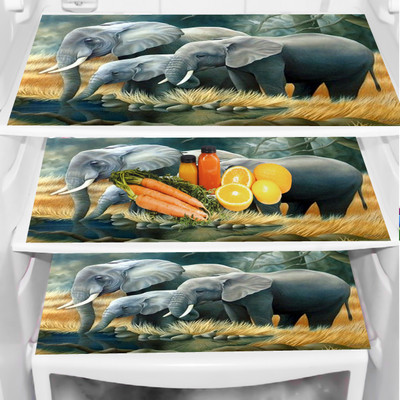 SANRAKSSHAN Fridge Mat(Width: 32 cm, Multicolor)