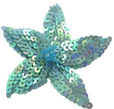 ANI ACCESSORIE Applique Patch(1, Multicolor)