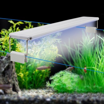 rs lightz White, Blue LED Aquarium Light(Freshwater Planted Tank)