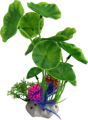 Nitishree Aquarium Plant for Fish Tank | Lotus Leaf |Tank Decoration Plant Green Multi Aquarium Plant Anchor(1 Plant Anchors)