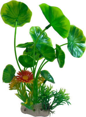 Nitishree Aquarium Plant for Fish Tank | Lotus Leaf |Tank Decoration Plant Green Base Flow Aquarium Plant Anchor(1 Plant Anchors)
