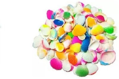 AKSHAT ENTERPRISES Multi Colored sea shell for aquarium, table, fountain and garden 500gm River Rock Unplanted Substrate(Multicolor, 0.5 kg)