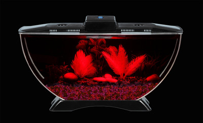 Blue Marlin half moon 005 Round Ends Aquarium Tank(2 L)