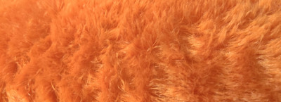 yo comfort Polyester Solid Multipurpose Running Fabric