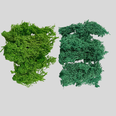 Revees Clive Preserved Moss Natural Light & Dark Green DIY Kit Gardenning Art 10g each