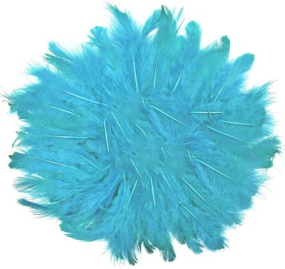 ASIAN HOBBY CRAFTS Asan Hobby Crafts Natural Dyed Feathers Multi Size (Turquoise)