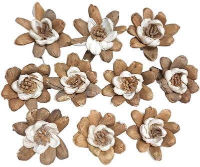 PRANSUNITA Sola Wood Diffuser Aromatherapy Flowers (No Bark) - Artificial Handmade