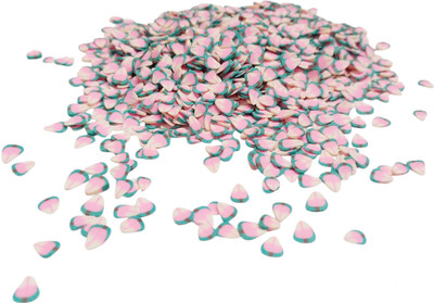 PRANSUNITA 800 pcs 3D Resin Polymer Rubber Mini Charms Shaker Slices for Nail Art DIY Craft
