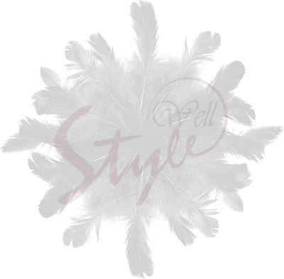 Stylewell Natural Dyed Craft,Art & Dream Catcher Feather For Decoration(3-5 Inch,80pc App)
