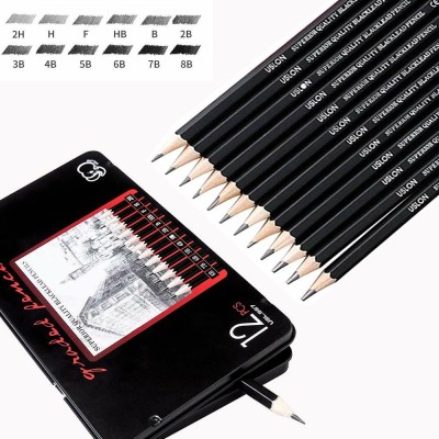 Definite Art 12pc Professional Sketching/Drawing Pencil Set - Graphite Pre-Sharpened Pencil(Set of 1, Black Degree Pencils - 8B, 7B, 6B, 5B, 4B, 3B, 2B, B, HB, F, H & 2H)