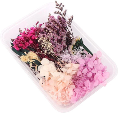 KRYTONE Real Dried Flowers for Art Craft Mixed Soap ,Candle ,Scrapbook ,DIY(1 Box)