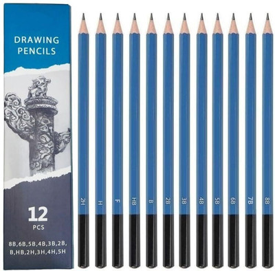 Wynhard 12 Pcs Sketching Pencils Set Drawing Pencils Set Art Pencils Set for Artist