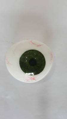 Ashnoor Artificial Eyes Artificial Eye