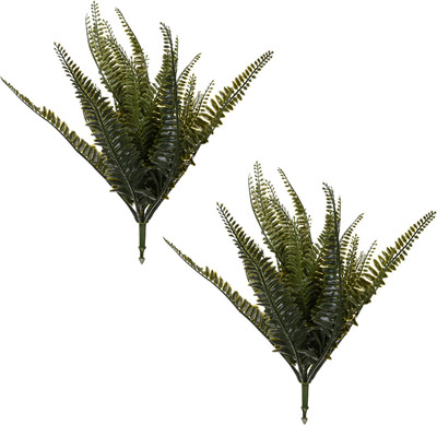 KUBER INDUSTRIES Artificial Flowers Fern|Flower Fern Orchid for Vase Pot|Pack of 2|Green Green Orchids Artificial Flower(14 inch, Pack of 2, Single Flower)