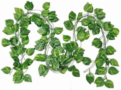 VP Quality Artificial Fancy Wall Hanging Garland Money Plant Leaf Bail Decoration Green Wild Flower Artificial Flower(90 inch, Pack of 3, Vine & Creepers)