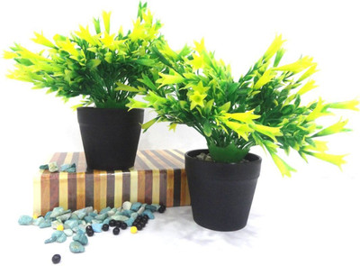 OM COLLECTIONS Yellow, Green Wild Flower Artificial Flower  with Pot(7.5 cm, Pack of 3, Flower Bunch)