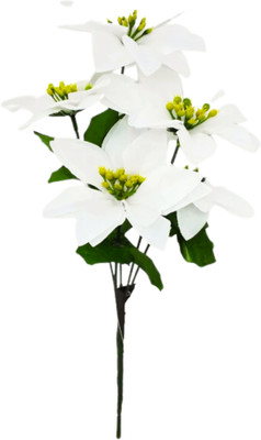 Bash N Splash Christmas Poinsettia White Poinsettia Artificial Flower(20 inch, Pack of 5, Flower Bunch)