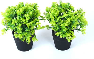 OM COLLECTIONS Green Wild Flower Artificial Flower  with Pot(7.5 cm, Pack of 3, Flower Bunch)