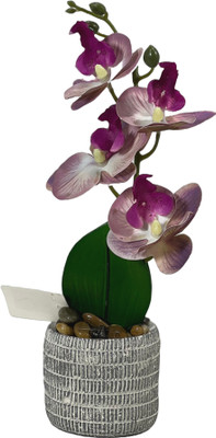 VENSA KINS Pink Orchids Artificial Flower  with Pot(30 cm, Pack of 2, Single Flower)