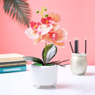 MARKET 99 Pink Artificial Orchid Flower With White Pot White Orchids Artificial Flower  with Pot(11.5 cm, Pack of 1, Flower with Basket)