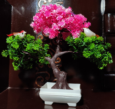 ds Pink & Green Bonsai ( Hight-30 cm) Multicolor Anthurium Artificial Flower  with Pot(12 inch, Pack of 1, Flower Bunch)