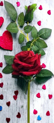 NLIN Red Rose Artificial Flower(12 inch, Pack of 1, Single Flower)
