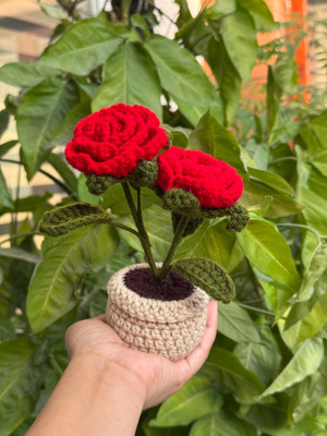SAARforyou Red Rose Artificial Flower(20 cm, Pack of 1, Flower Bunch)
