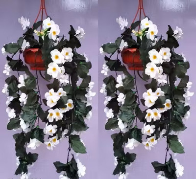 Bloom Boom Artificial Wall Hanging Creepers Flower White Daisy Artificial Flower  with Pot(32 cm, Pack of 2, Vine & Creepers)
