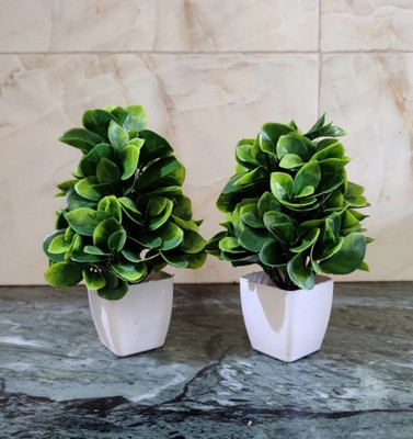 ANJALYASHVIRGO Artificial Lemon Plants with pot for Home Decoration Green Ballmum Artificial Flower  with Pot(8 inch, Pack of 2, Flower with Basket)