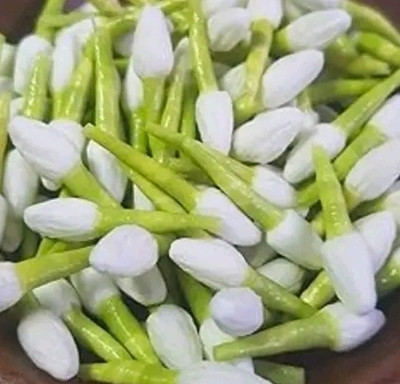 Igh Jasmine bud White Jasmine Artificial Flower(3 cm, Pack of 100, Single Flower)